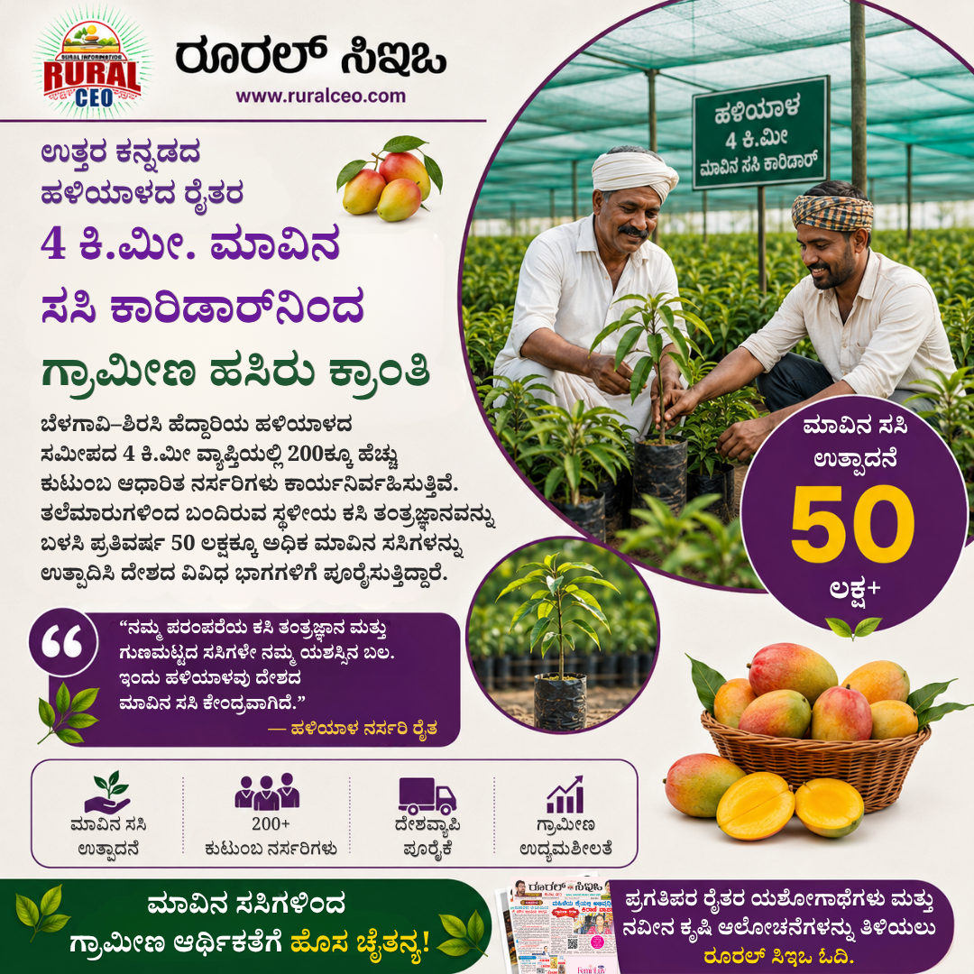 Mango Saplings produced by family-run nurseries in Haliyal, Uttara Kannada, supplying grafted mango plants across India.