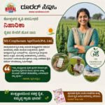 Yadgir Agro-Processing Centre Empowers Women Farmers Through NABARD Support